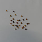 Ronde 2 - Mokaite naturelle (10 pces)