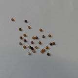 Ronde 2 - Mokaite naturelle (10 pces)