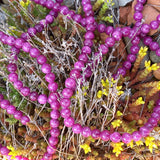 Ronde 8 - Jade naturelle violet foncé (10 pcs)