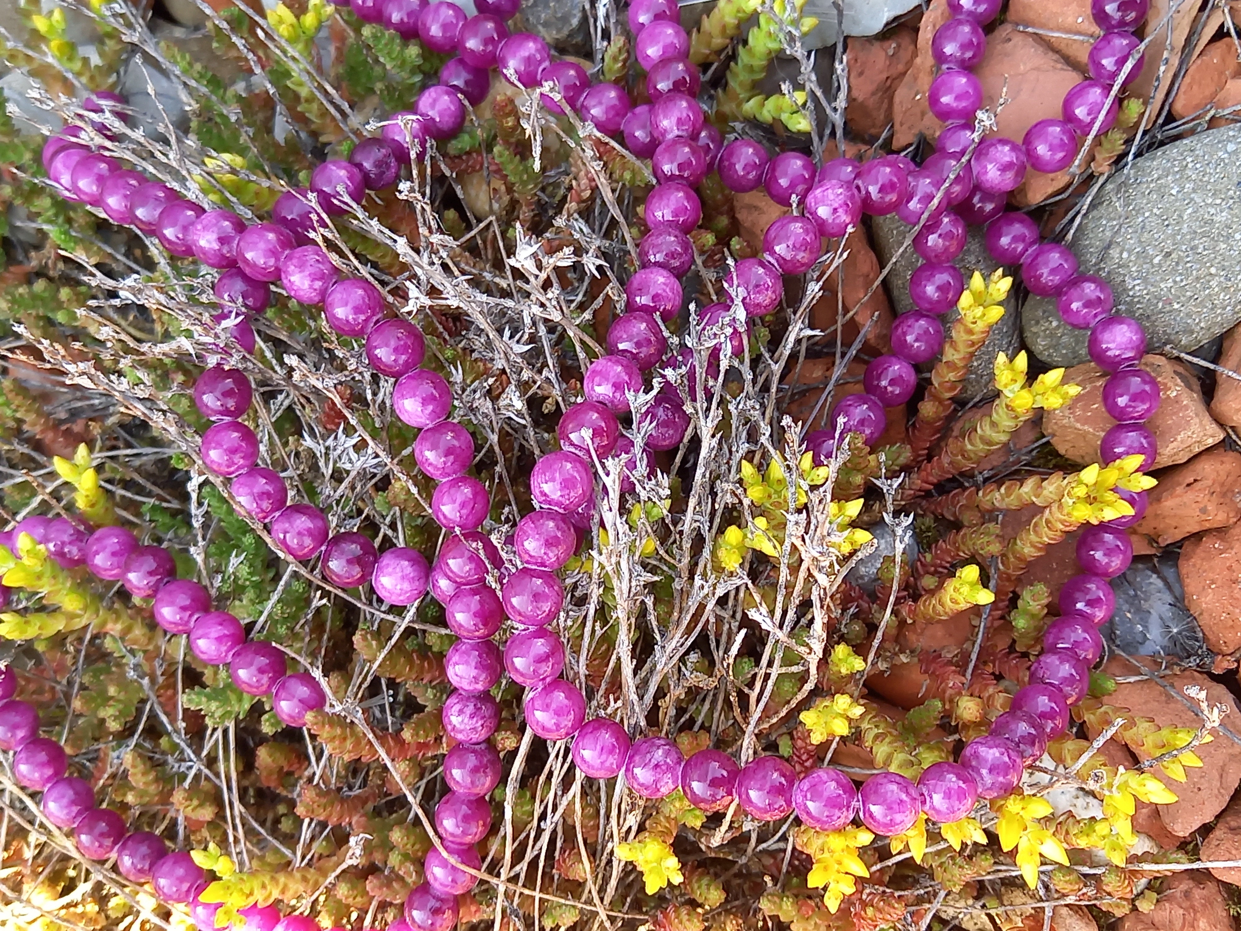 Ronde 8 - Jade naturelle violet foncé (10 pcs)