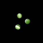Yeux de Chat 4 - Peridot (10 pces)
