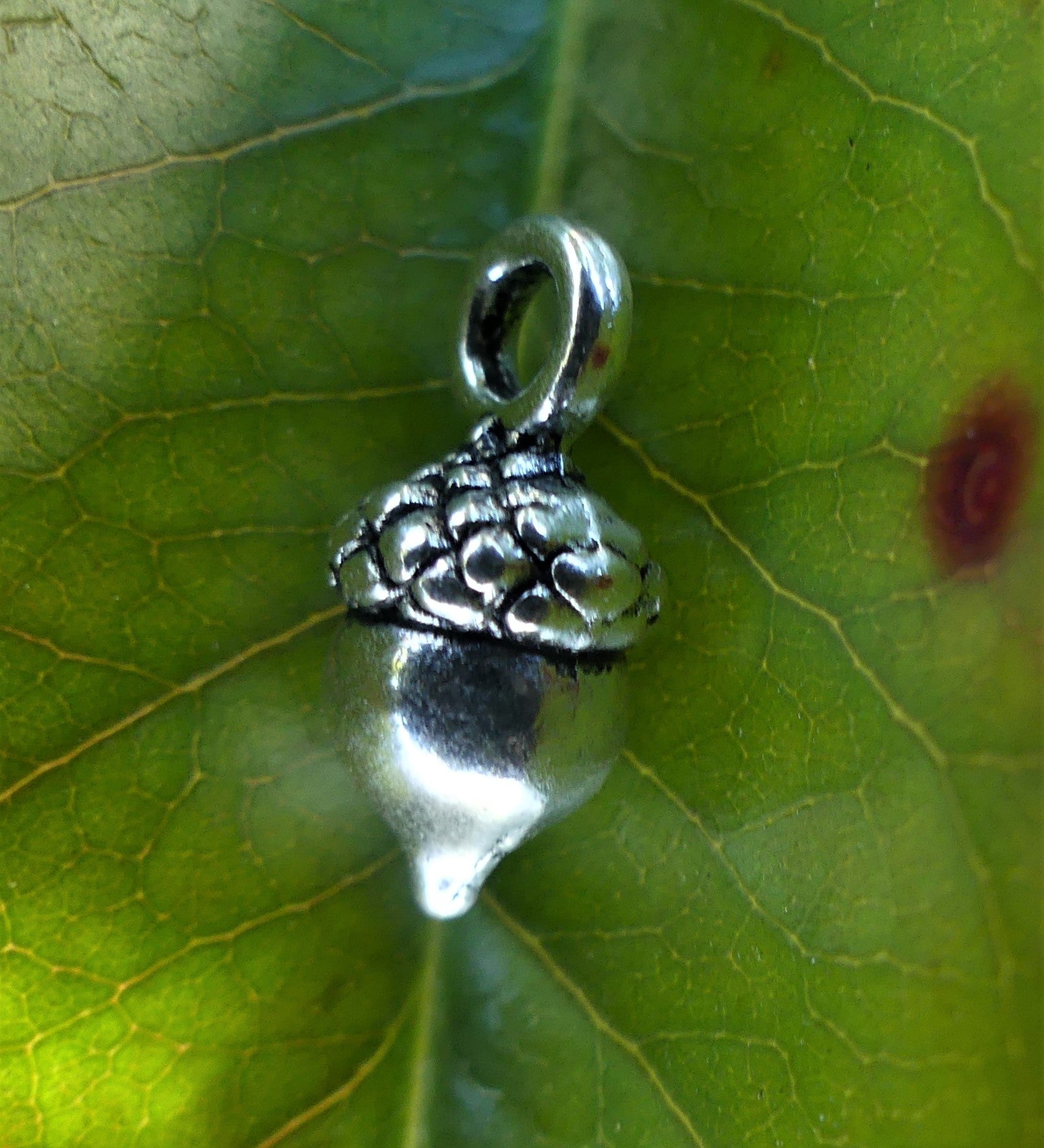 Charms - Gland (1 pce)