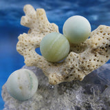 Ronde 12 - Amazonite naturelle givré (5 pces)