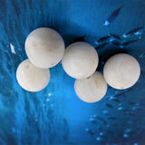 Ronde 10 - Agate naturelle givrée blanche (5 pces)