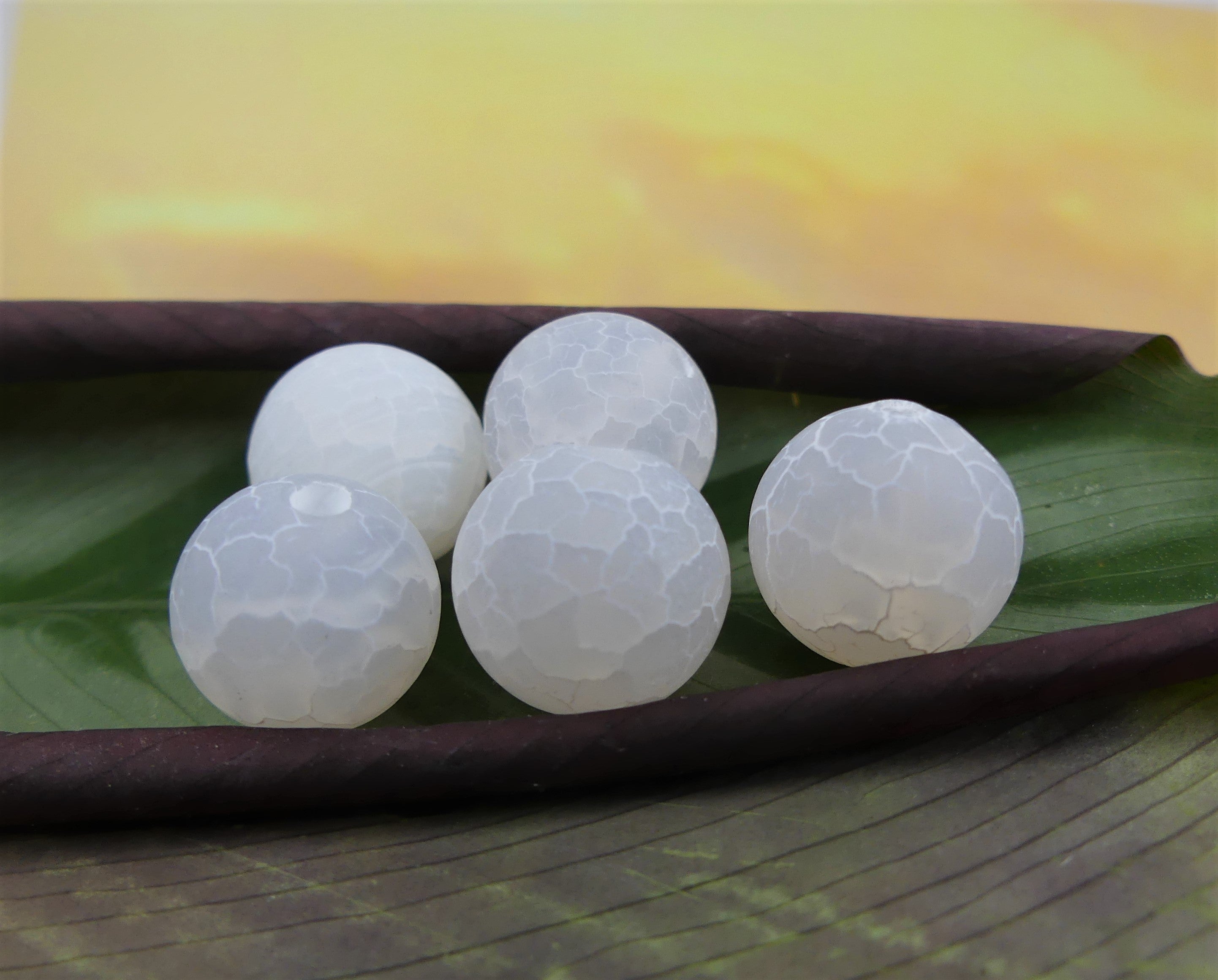 Ronde 12 - Agate naturelle craquelée blanc (5 pces)