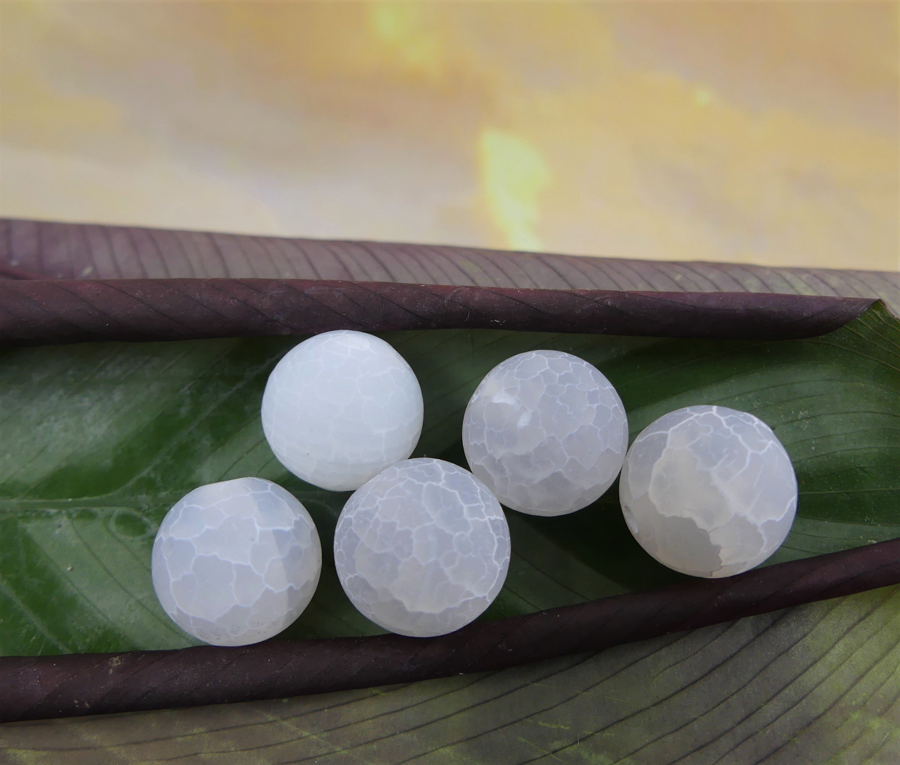 Ronde 12 - Agate naturelle craquelée blanc (5 pces)