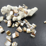 Perles de coquillages teints beige (10 pces)