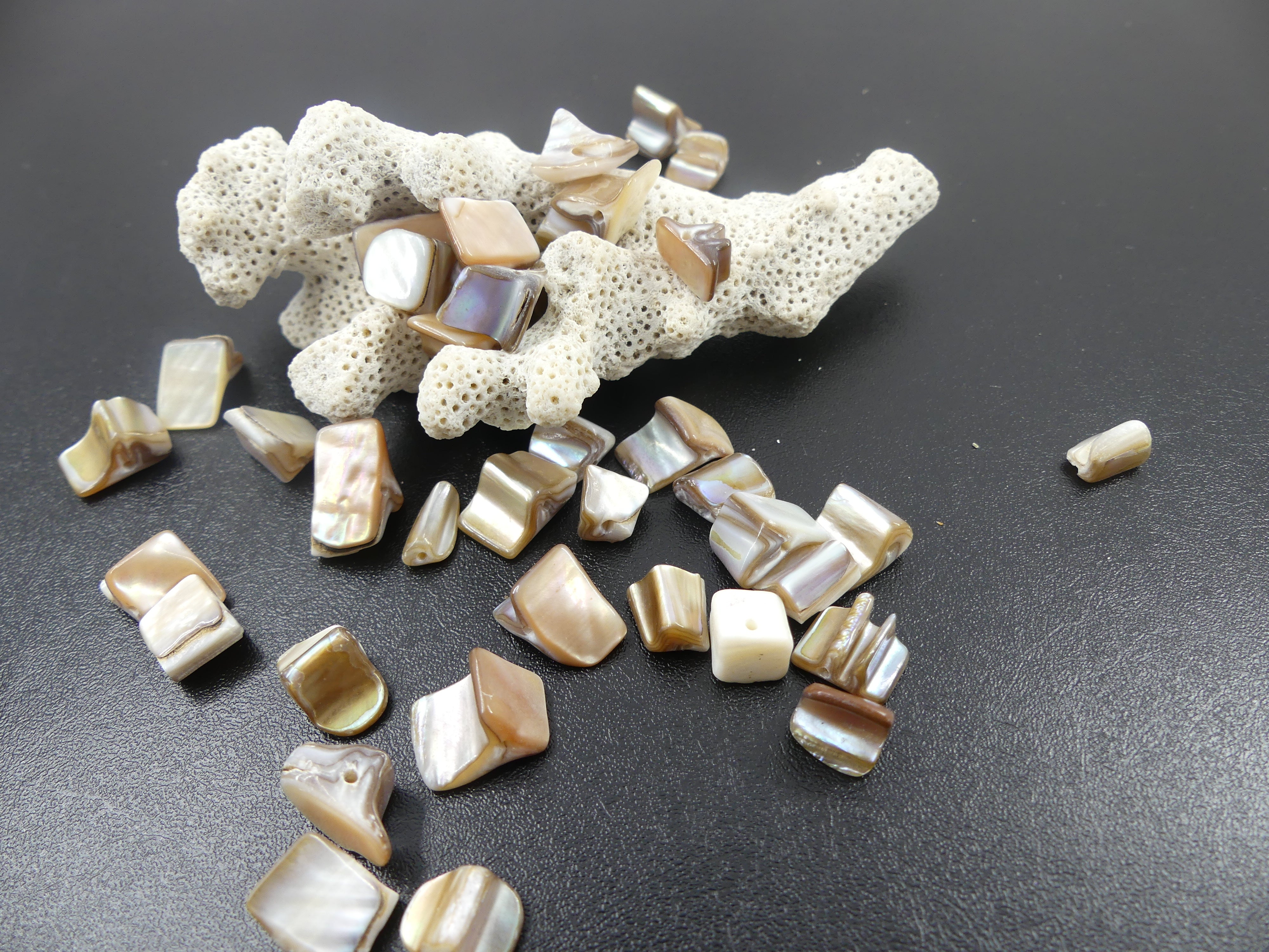 Perles de coquillages teints beige (10 pces)