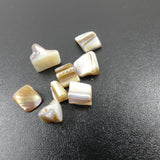 Perles de coquillages teints beige (10 pces)