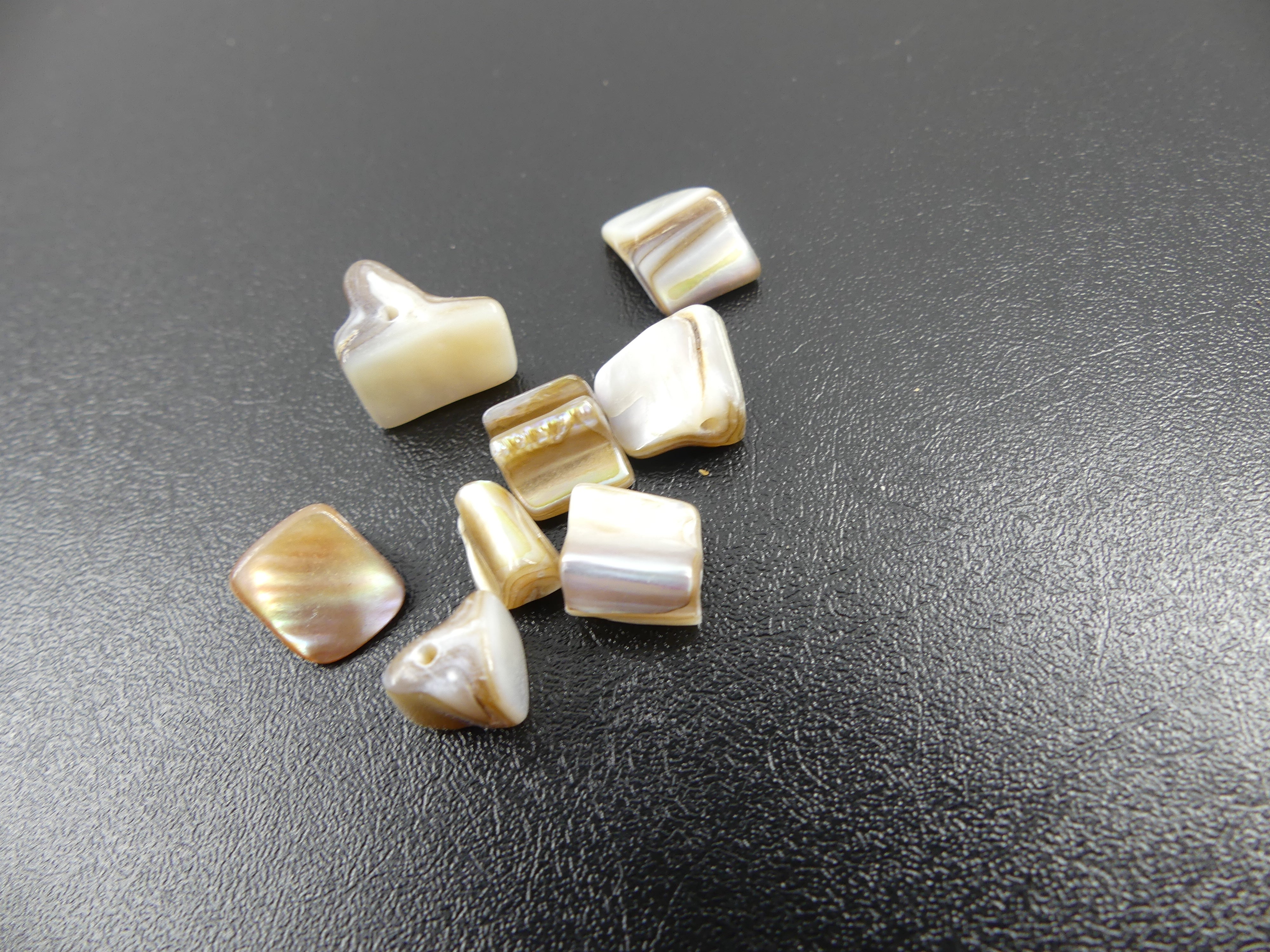 Perles de coquillages teints beige (10 pces)