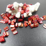 Perles de coquillages teintes orange (10 pces)