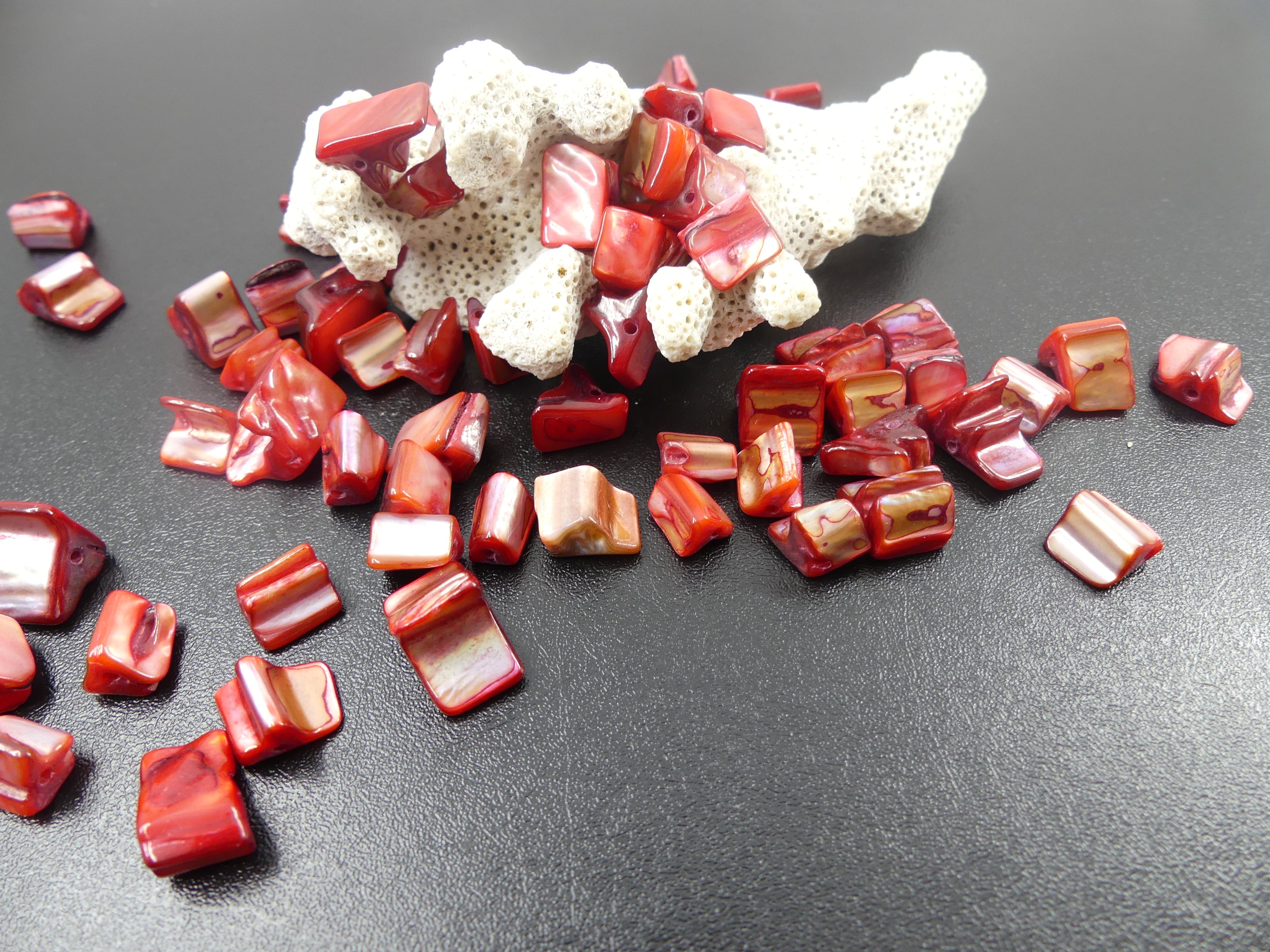 Perles de coquillages teintes orange (10 pces)