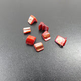 Perles de coquillages teintes orange (10 pces)