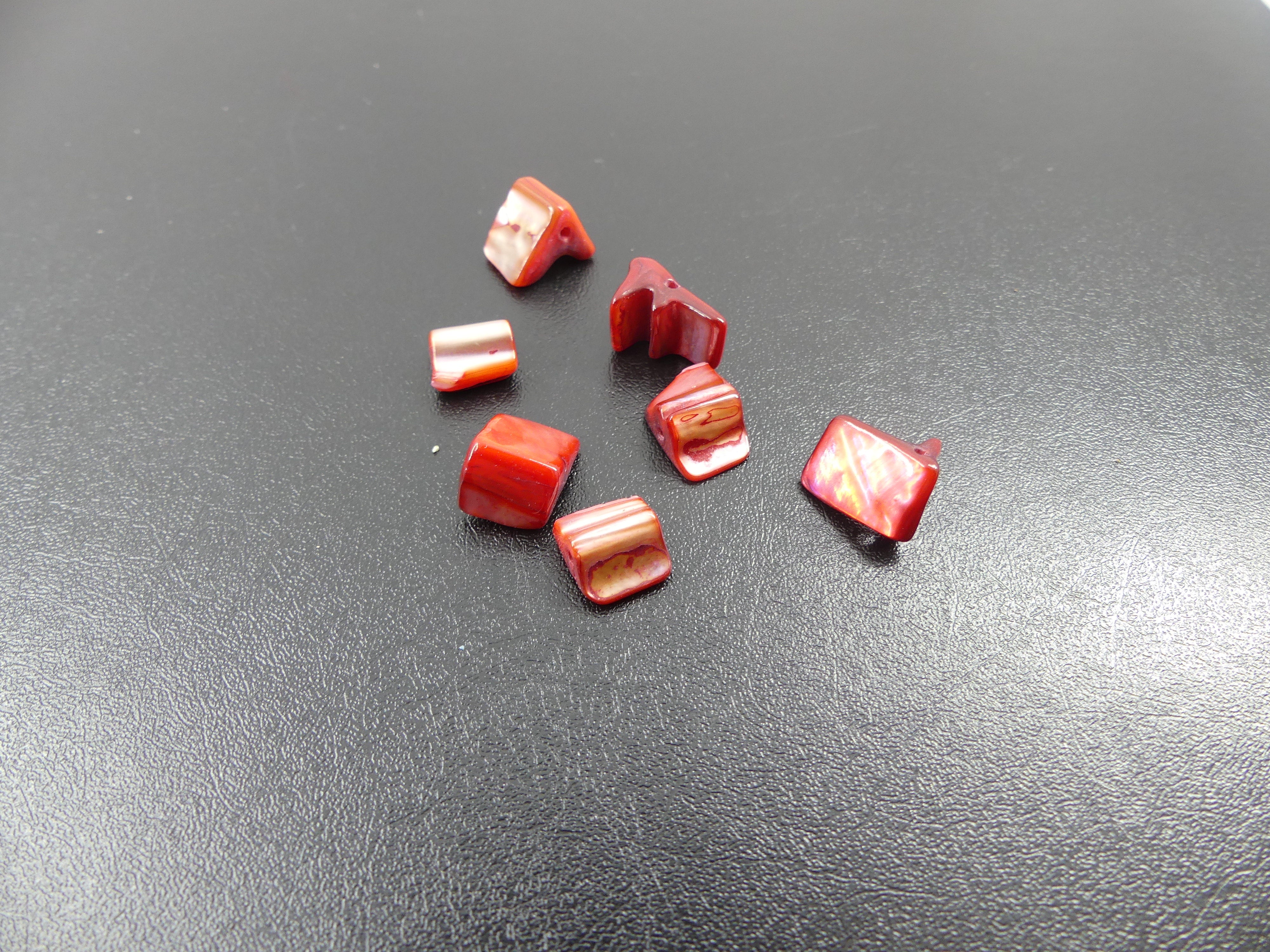 Perles de coquillages teintes orange (10 pces)