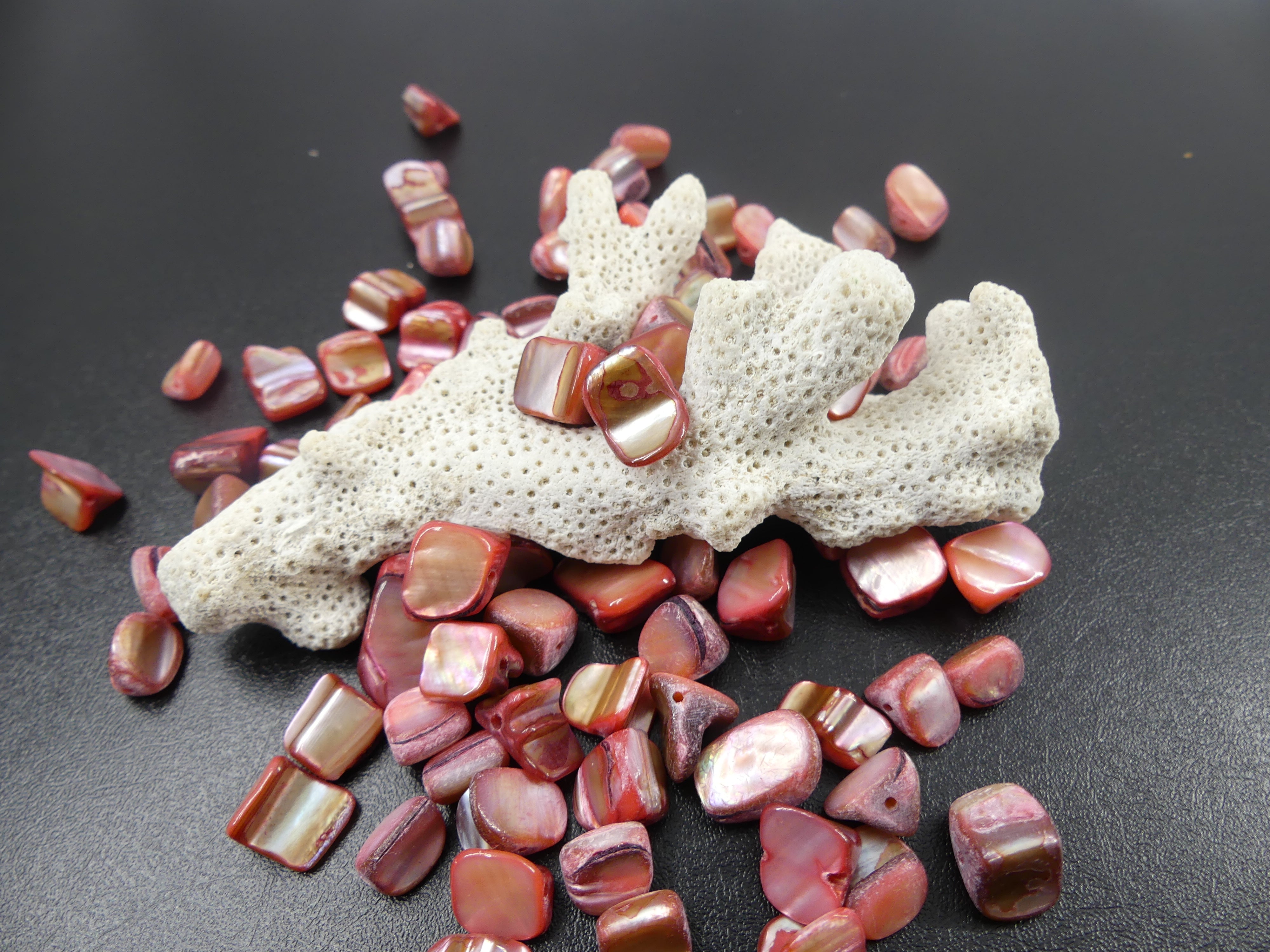 Perles de coquillages teints rose (10 pces)