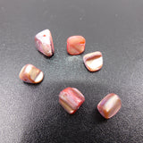 Perles de coquillages teints rose (10 pces)