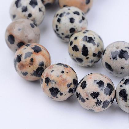 Ronde 8 - Jaspe dalmatien naturelle - (10 pces)