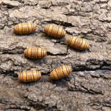 Perle ovale acrylique en imitation bois - (10 pces)